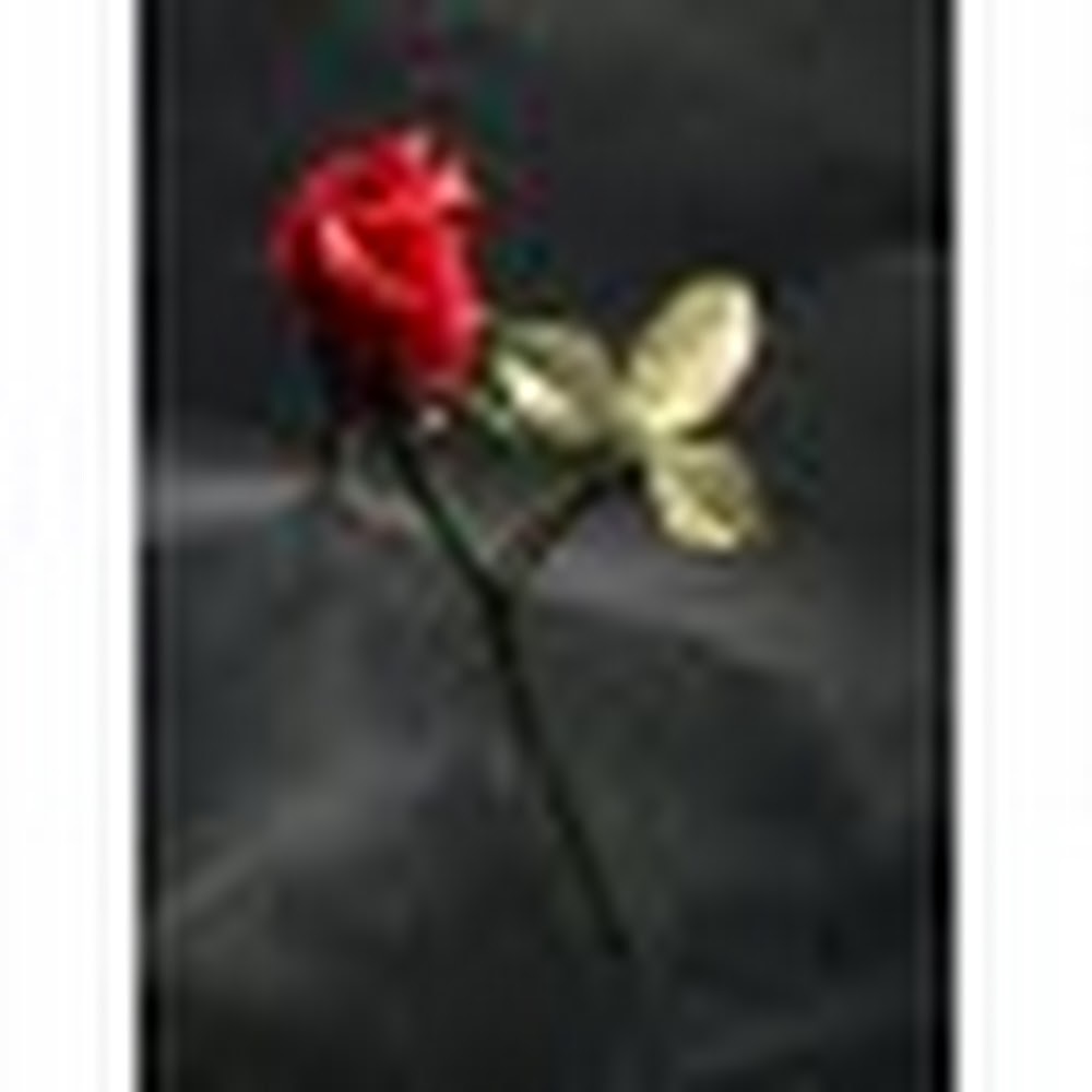 Meet your Posher, Liana